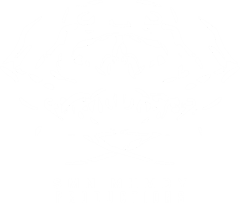 SMN MHMDY Productions